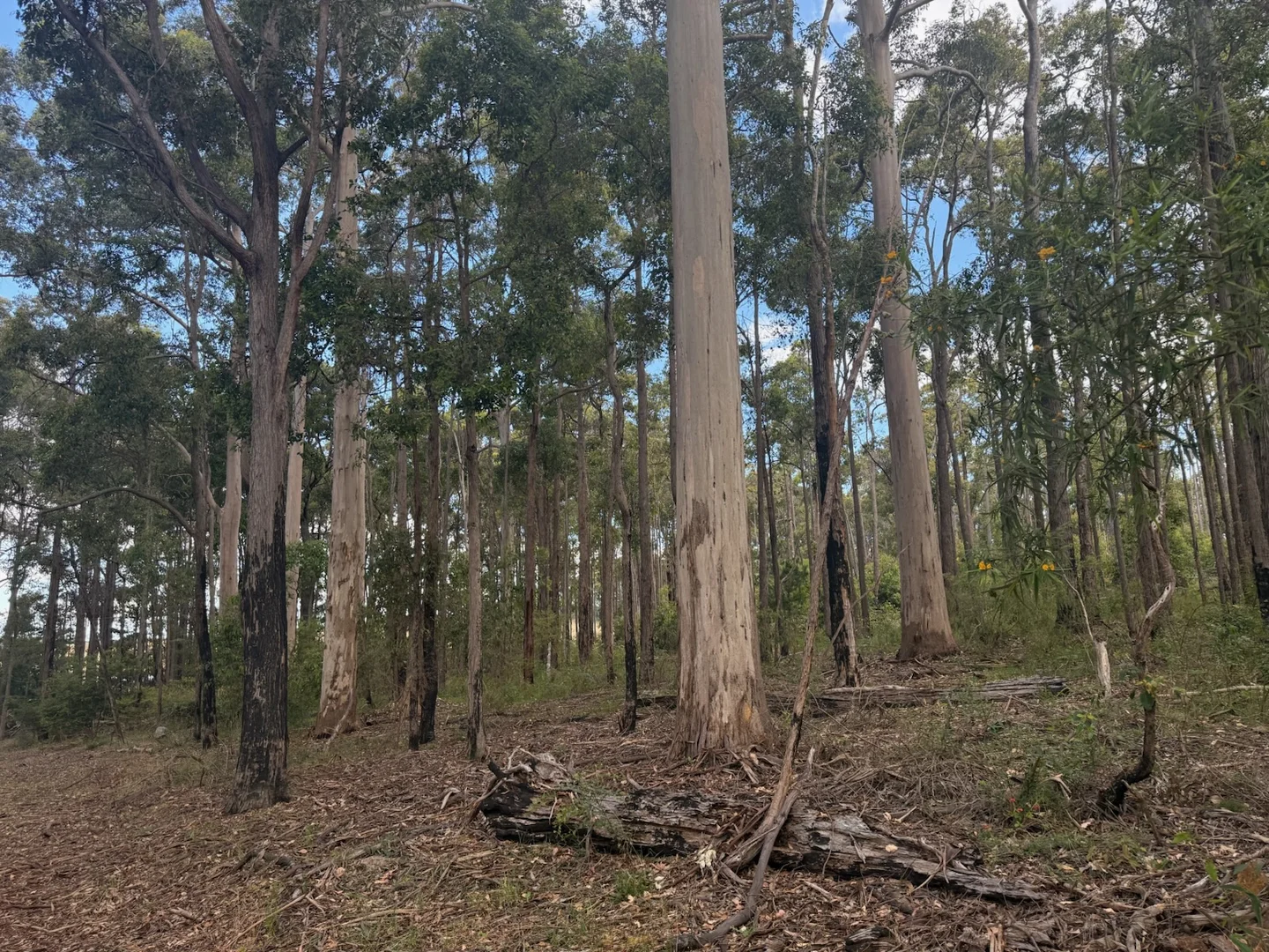 Additional image 6 of Lot 10838 Piano Gully Road, Middlesex WA 6258