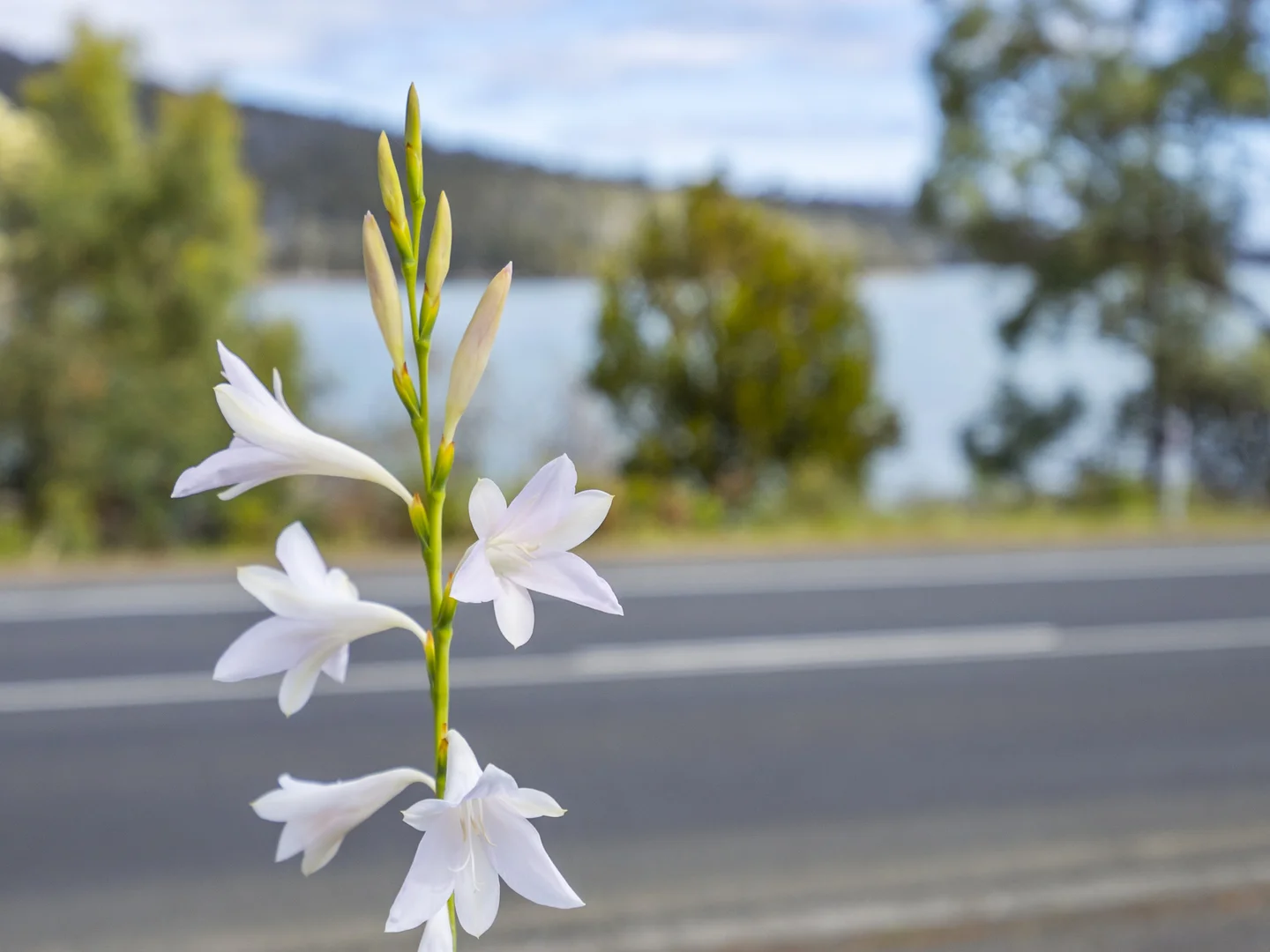 Additional image 14 of 5821 Arthur Highway, Taranna TAS 7180