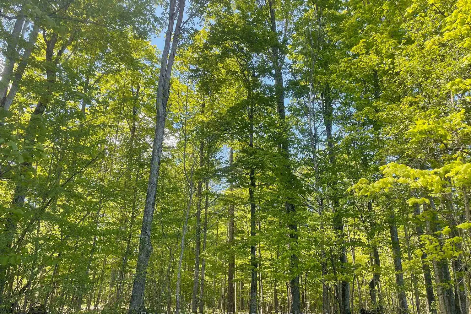 Additional image 13 of N/A Sunny Valley Road