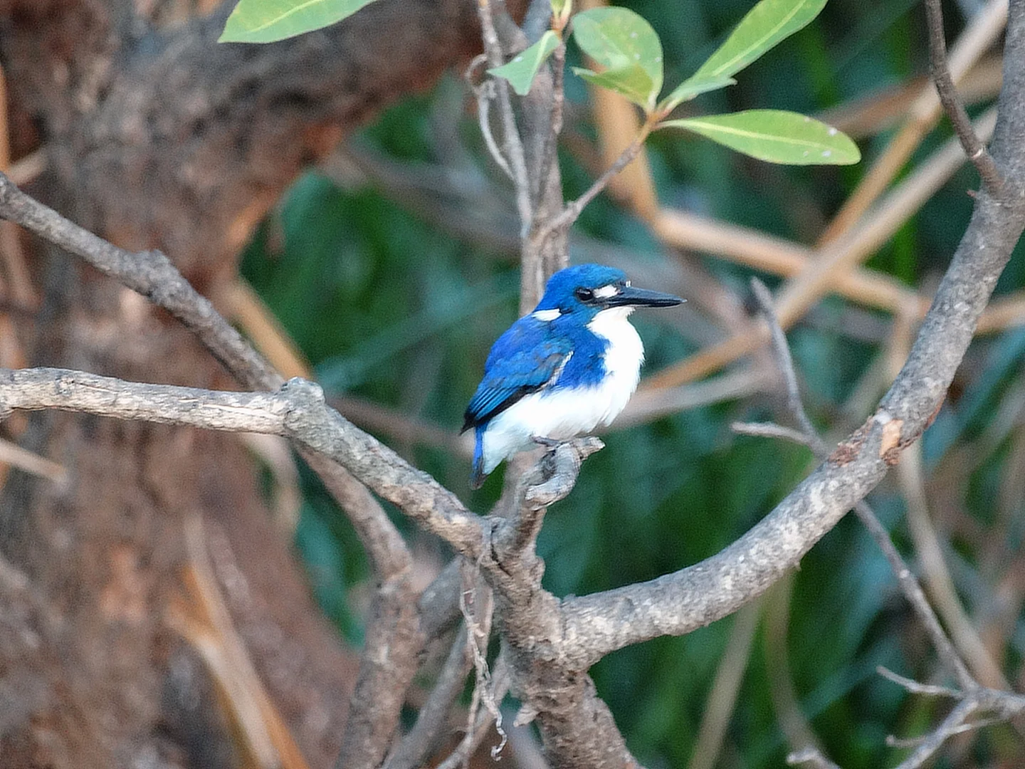 Additional image 14 of 685 Miles Road, Eva Valley NT 0822