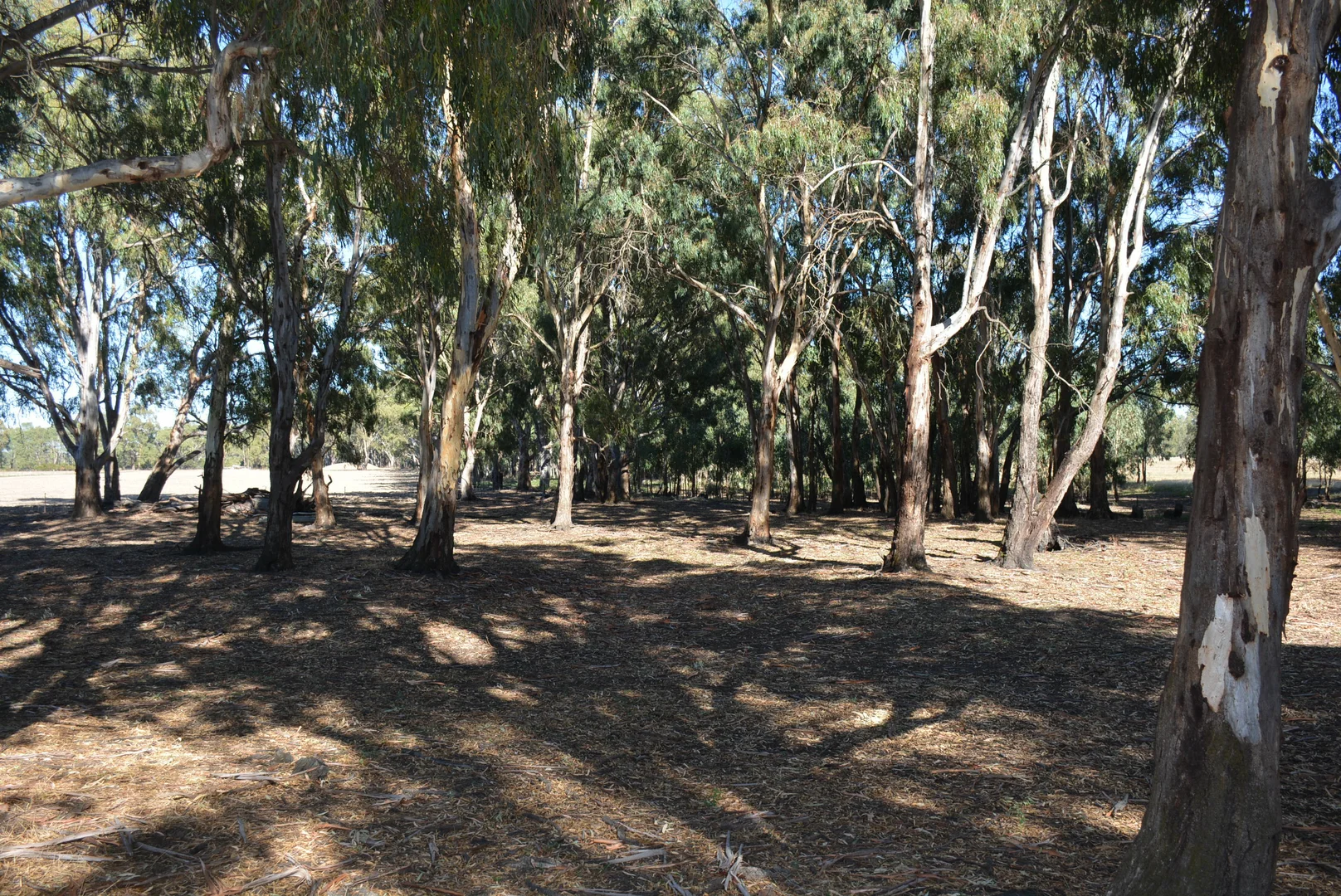 Additional image 20 of 52 Sheehan Rd, Koonoomoo VIC 3644