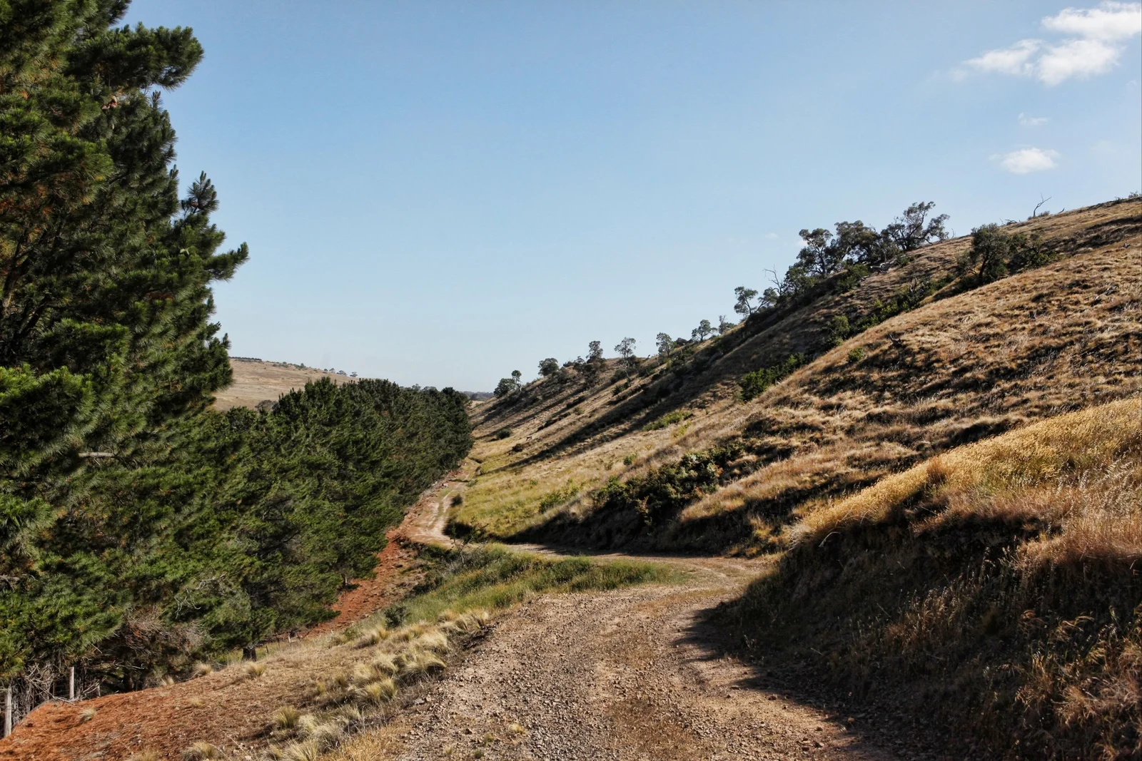 Additional image 23 of 490 Settlement Road, Sunbury VIC 3429