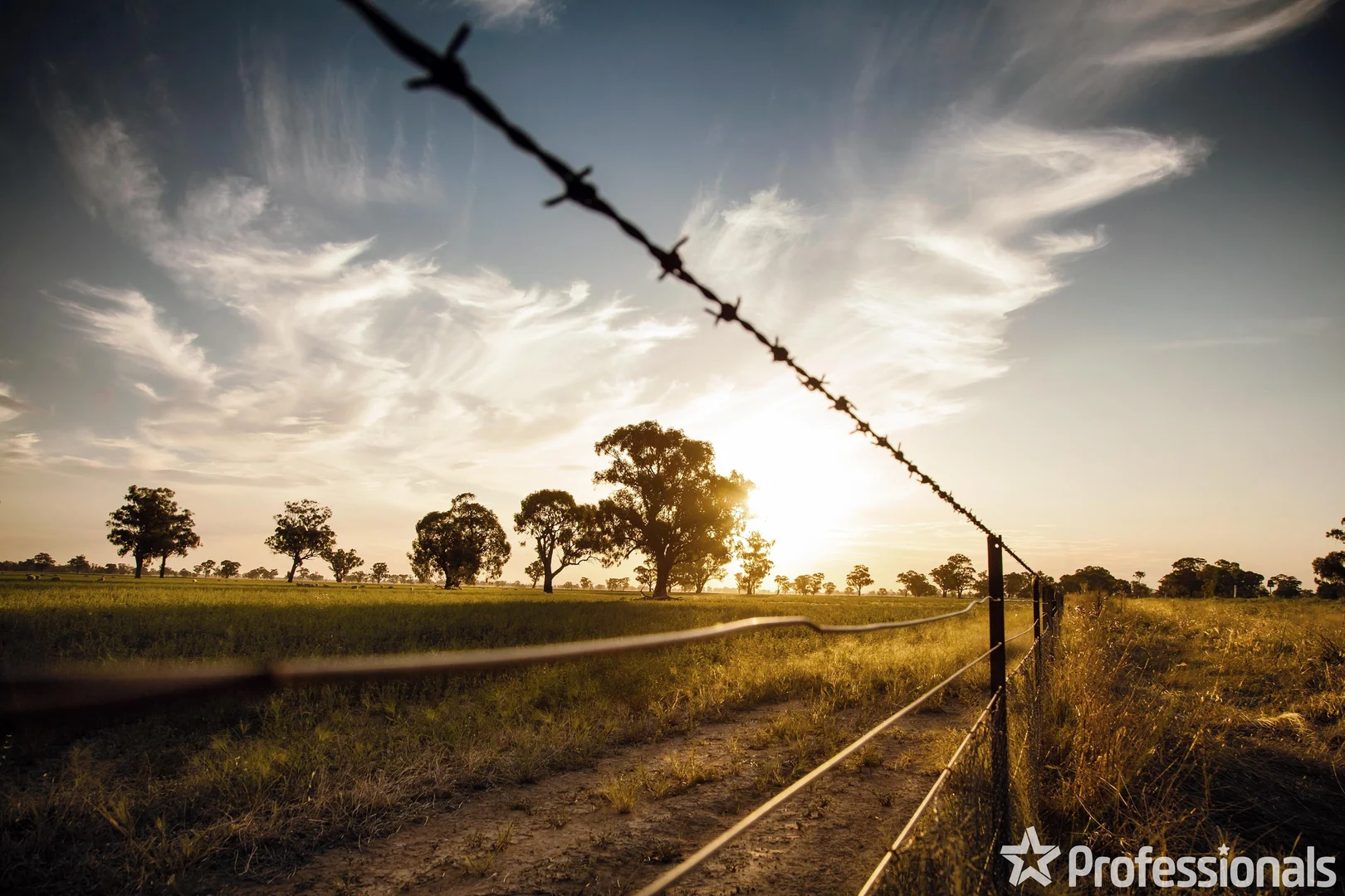Additional image 4 of Lot 1 Cowie Springs, Eudunda SA 5374