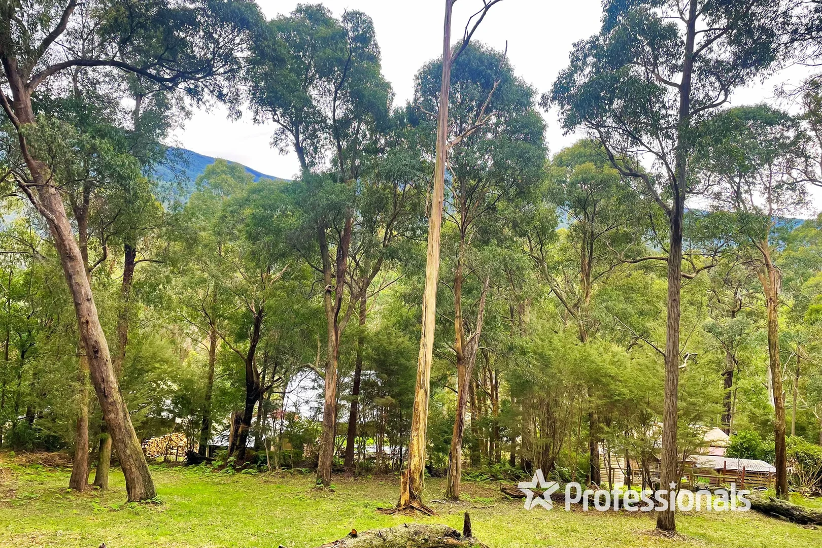 Additional image 2 of 6 Yarra Valley Crescent, East Warburton VIC 3799