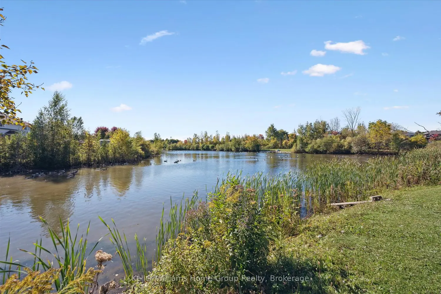 Additional image 13 of 568 Black Street