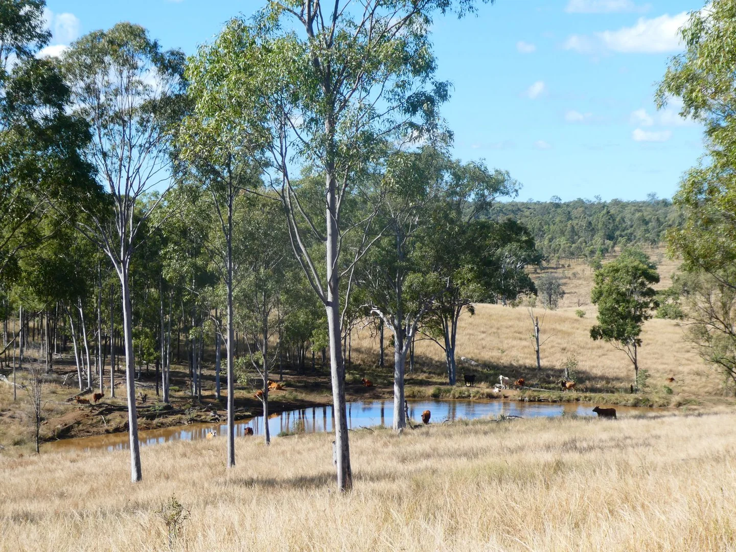 Additional image 11 of NRN BEERON ROAD, Beeron QLD 4626