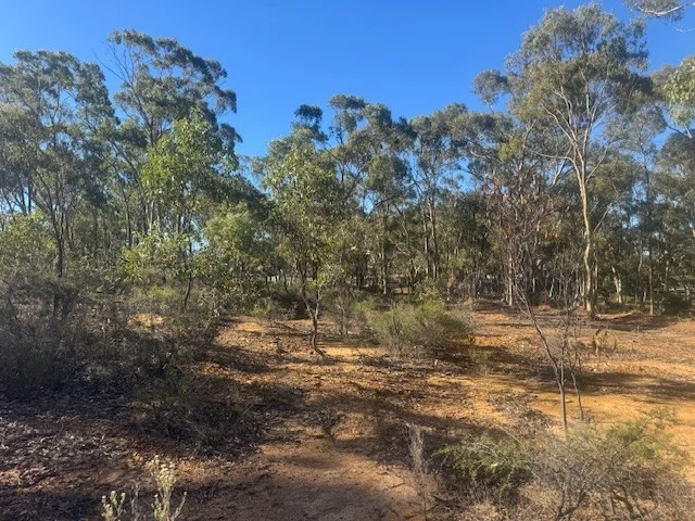 Additional image 4 of 2-20 Godfrey Street, Wedderburn VIC 3518