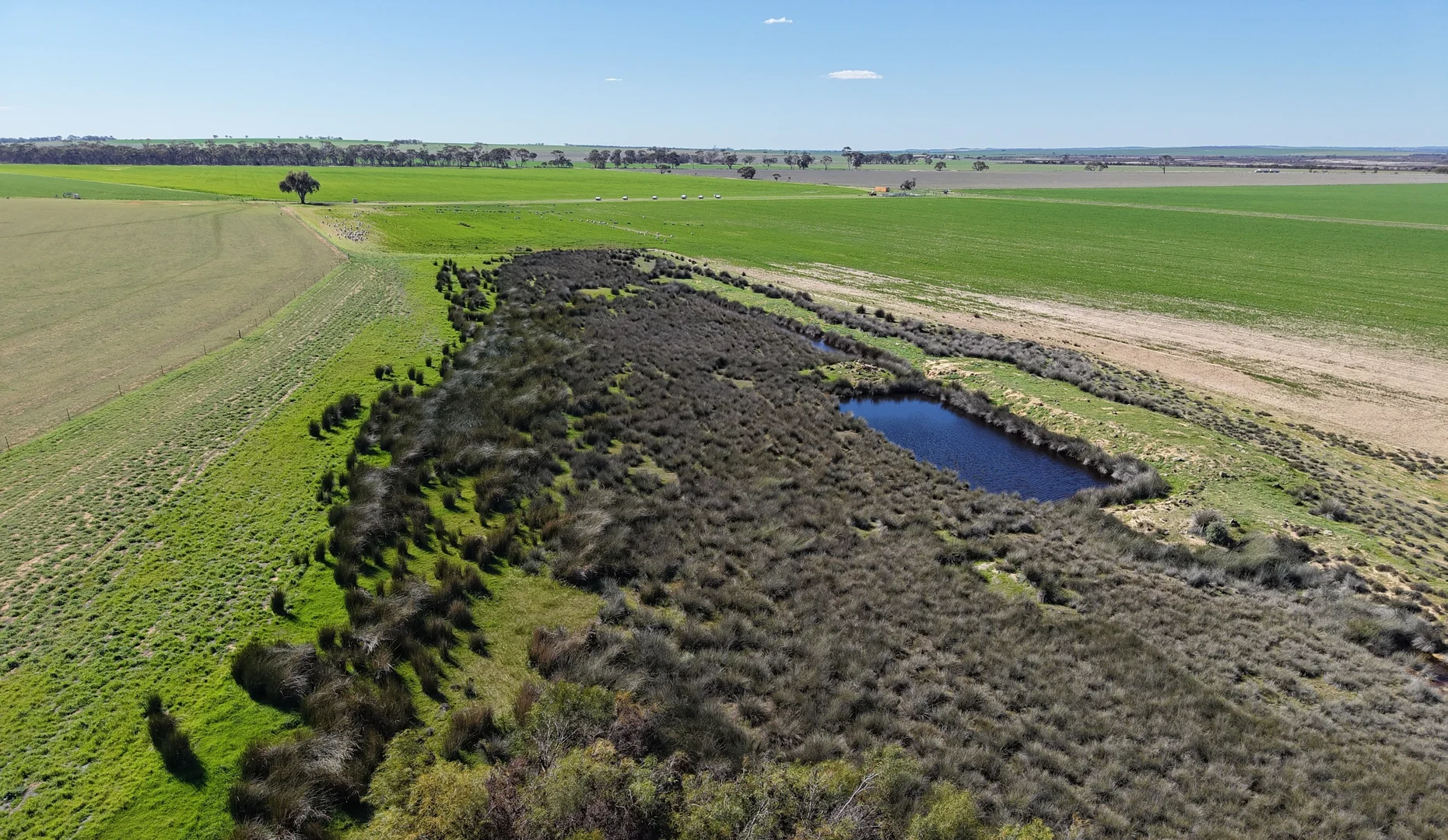 Additional image 23 of Quairading South Road, Dangin WA 6383