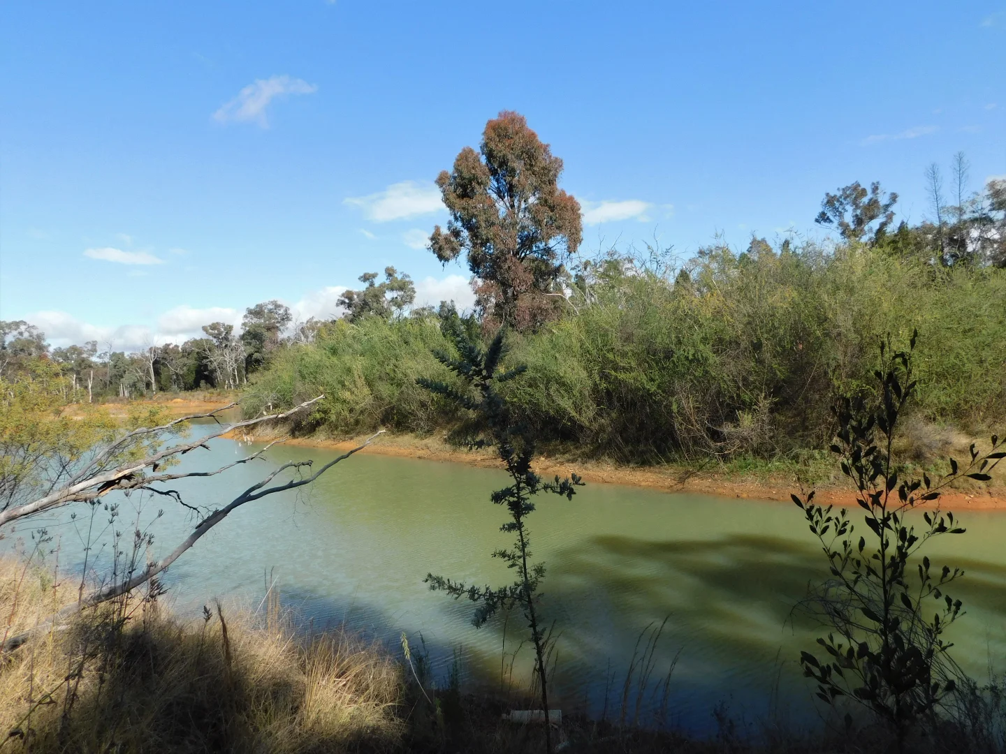 Additional image 4 of The Rock  212 Purlewaugh Road, Coonabarabran NSW 2357