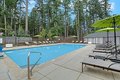 Additional image 29 of 8515 Litt Dr SE, Lacey, WA, 98516