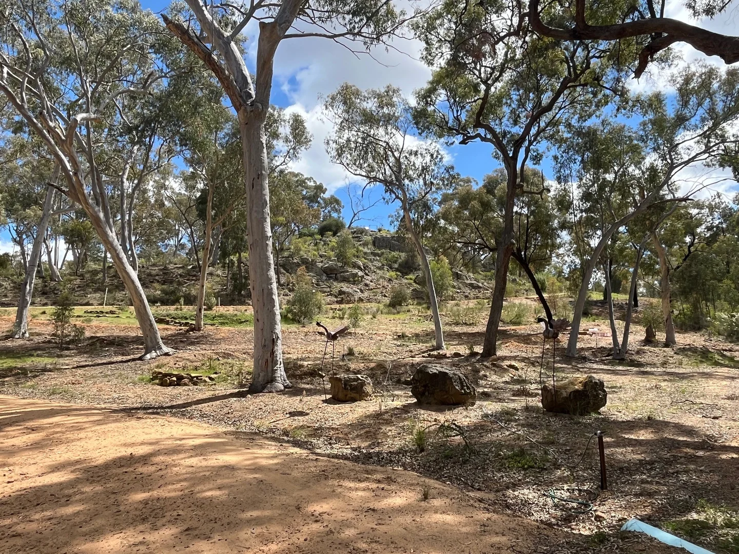 Additional image 33 of 4655 Baradine Road, Coonabarabran NSW 2357