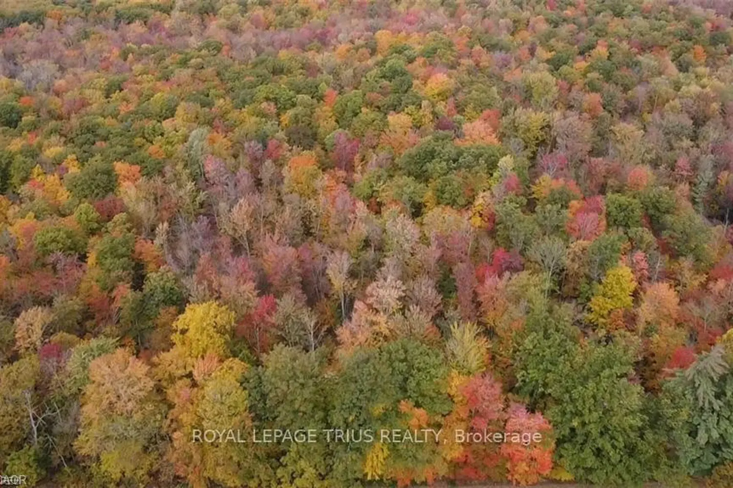 Additional image 6 of Pt Lt 20 7Th Concession Road