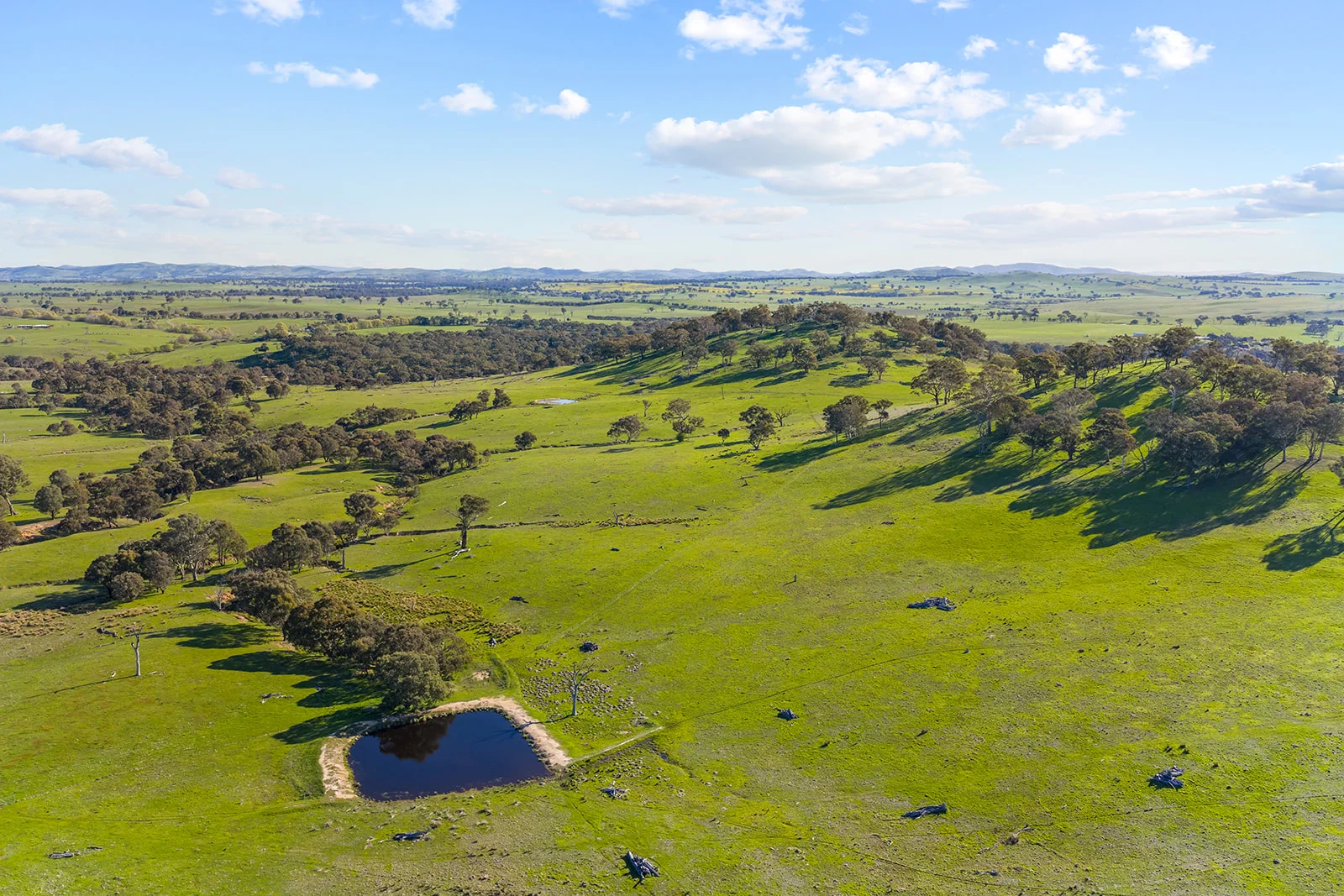Additional image 35 of 1432 Lachlan Valley Way, Laverstock NSW 2582