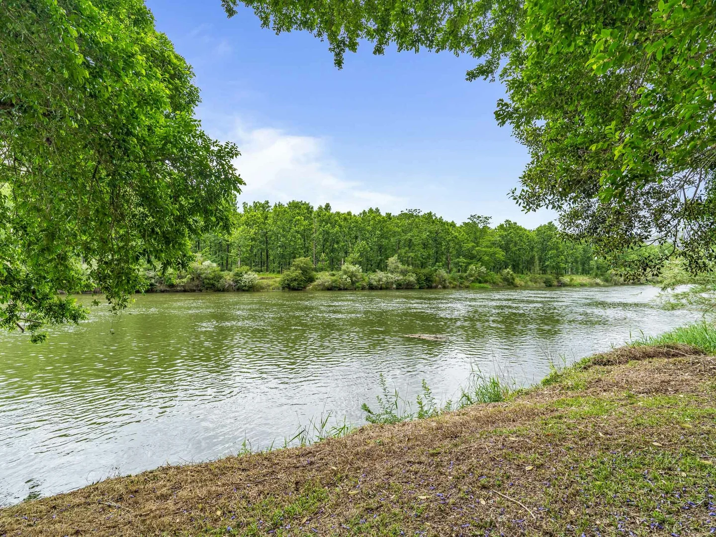 Additional image 2 of 537 Settlers Rd, Lower Macdonald NSW 2775