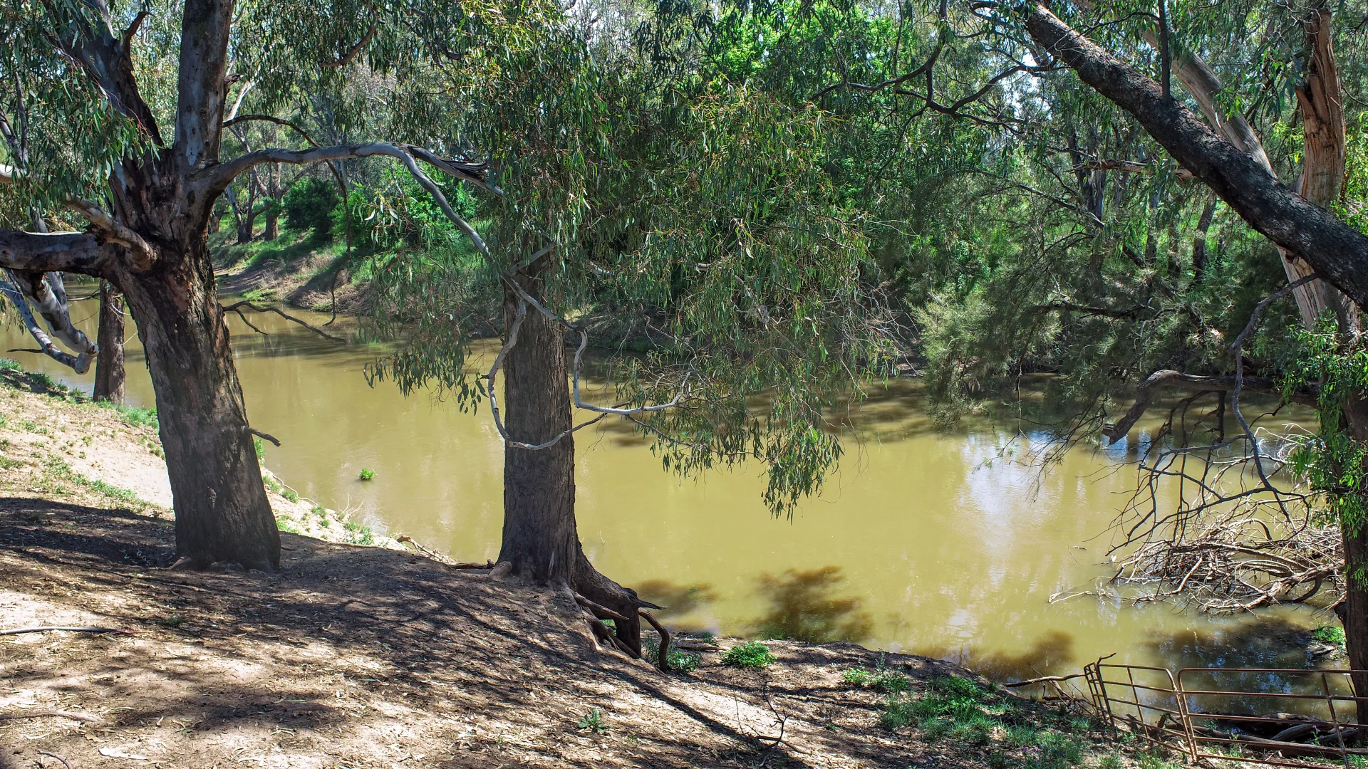 Additional image 3 of Licence 617789 Wandary Lane, Forbes NSW 2871