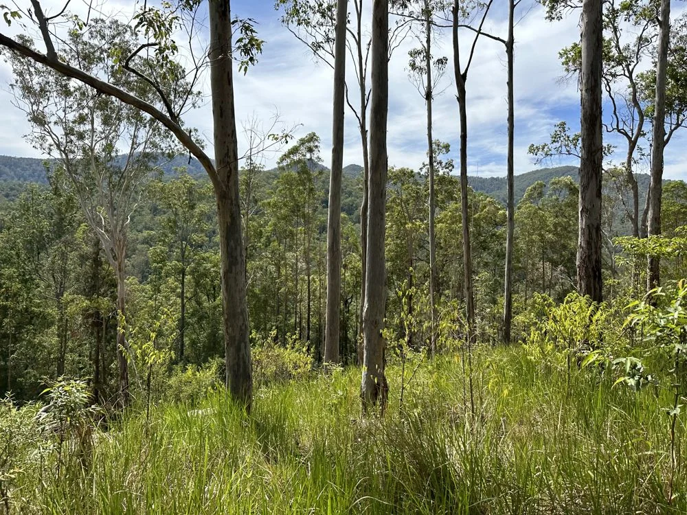 Additional image 2 of Comara NSW 2440