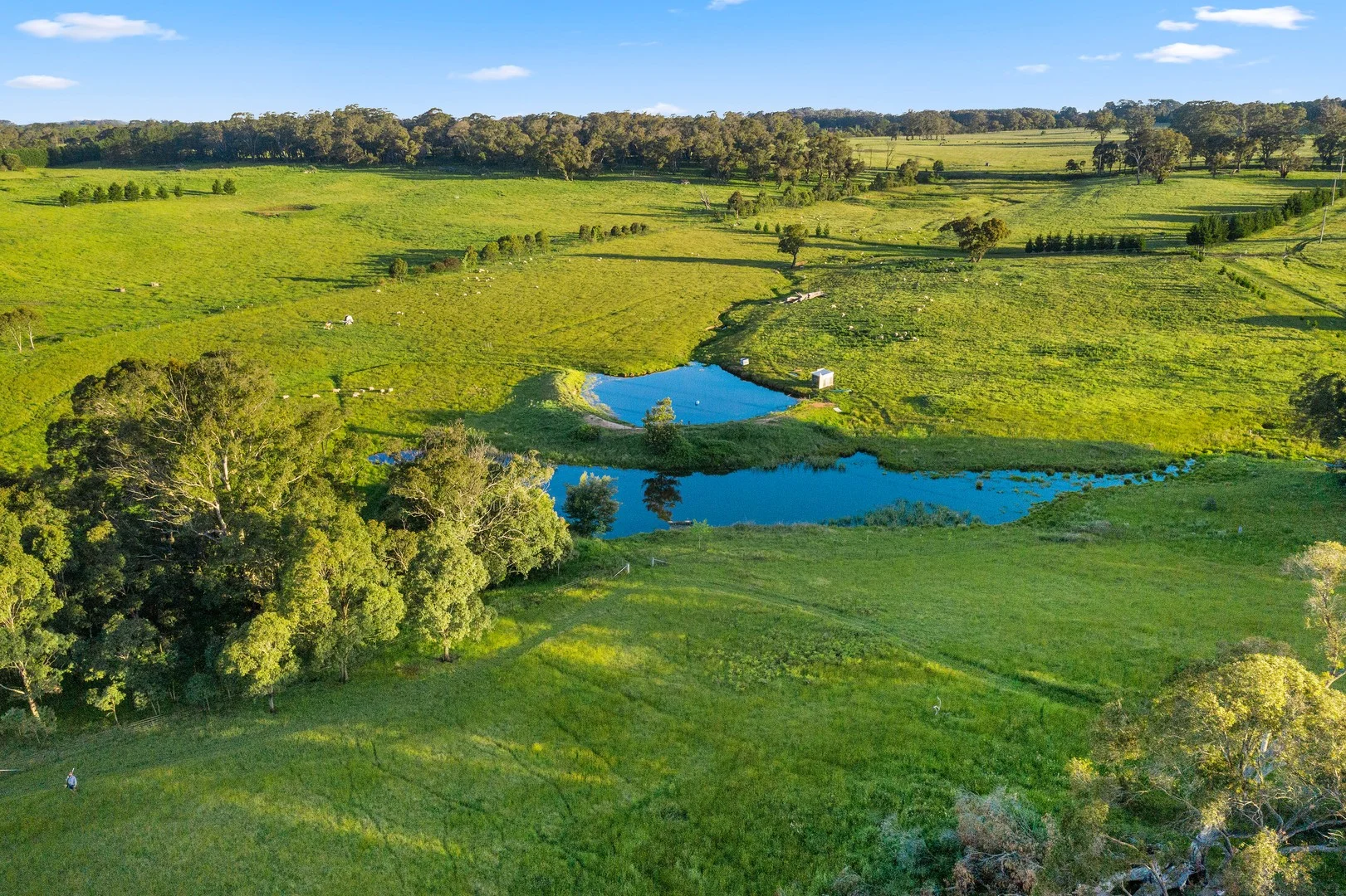 Additional image 4 of 373 Sallys Corner Road, Exeter NSW 2579