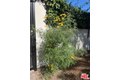 Additional image 34 of 8302 S Sepulveda Blvd, Los Angeles, CA, 90045