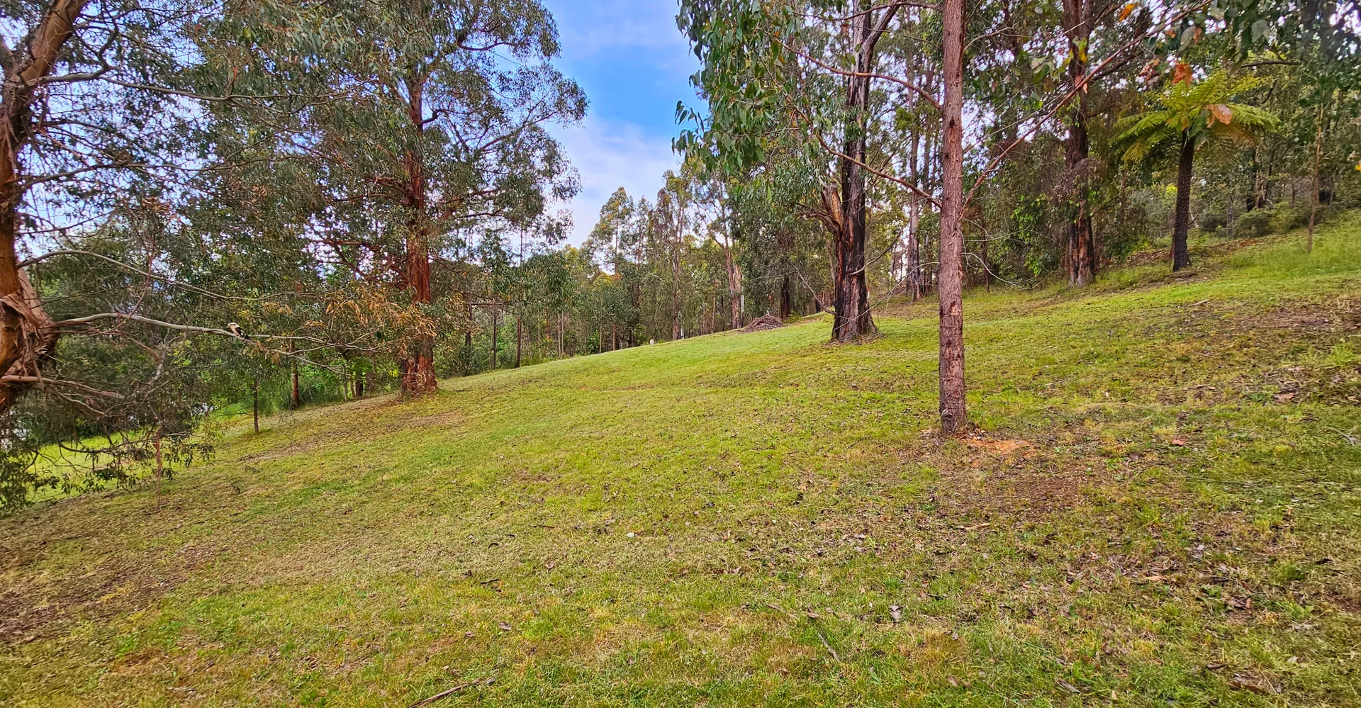 Additional image 5 of 1 Kings Road, Marysville VIC 3779