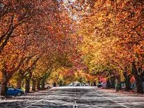 Additional image 10 of 49 Oberon Street, Eugowra NSW 2806