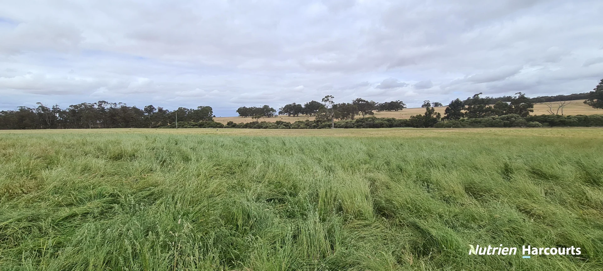 Additional image 25 of 4038 & 4184 Chesterpass Road, Takalarup WA 6324