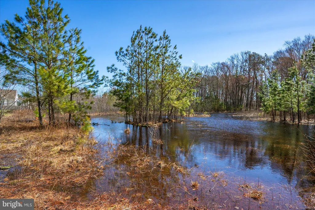 Additional image 64 of 38734 Soft Beach Circle, Selbyville, DE 19975