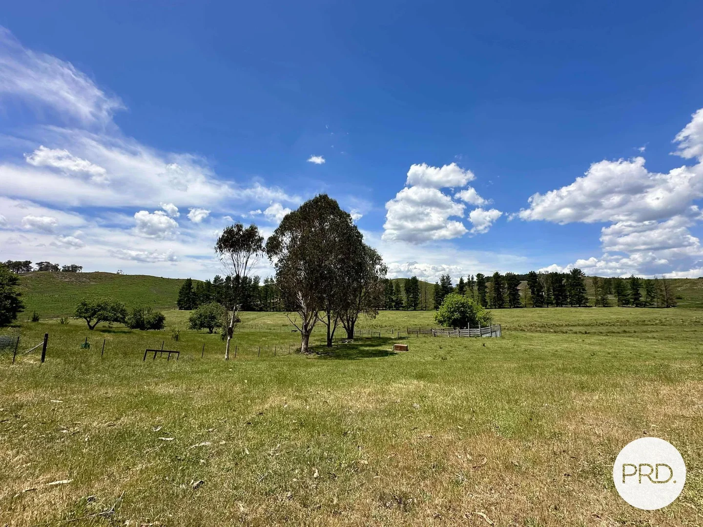 Additional image 35 of 233 Logans Road, Tumbarumba NSW 2653