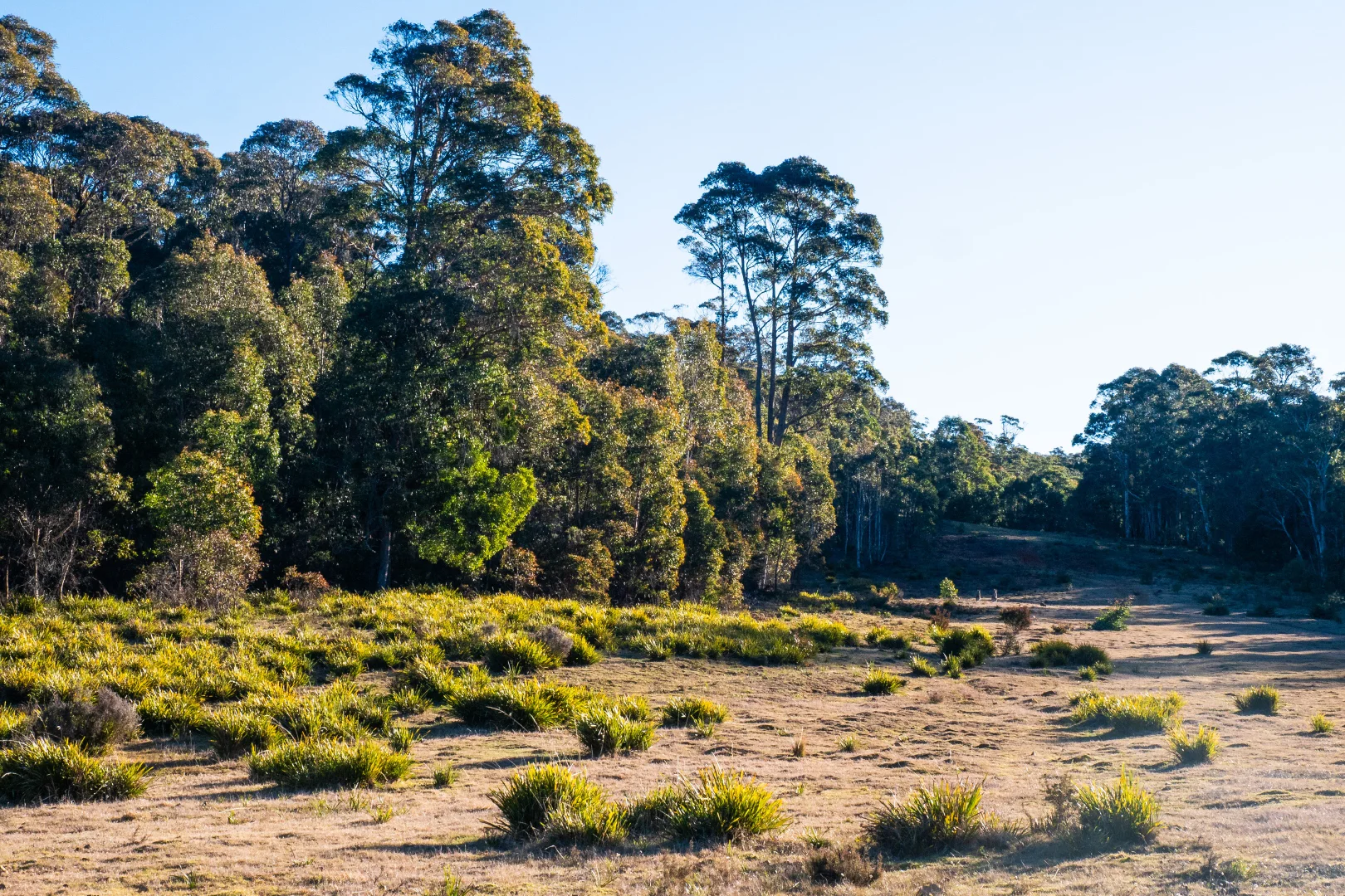 Additional image 37 of 1974 Tuross Road, Kybeyan NSW 2631