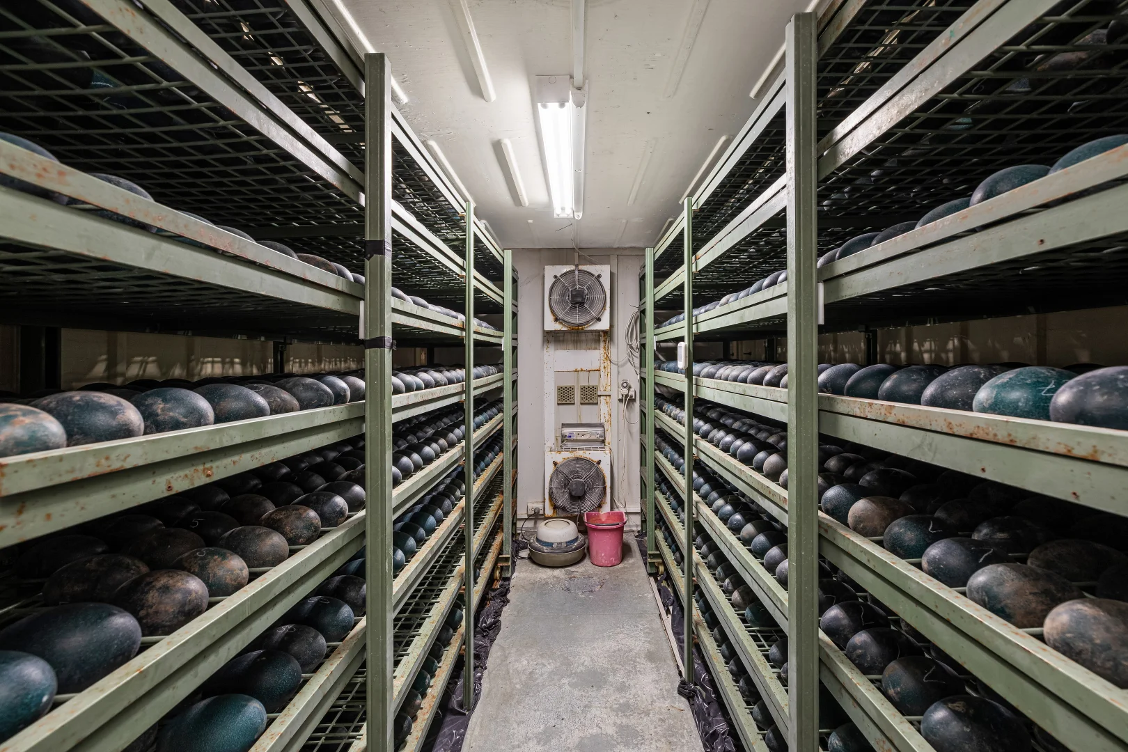 Additional image 12 of 198 Tragowel Road, Tragowel VIC 3579