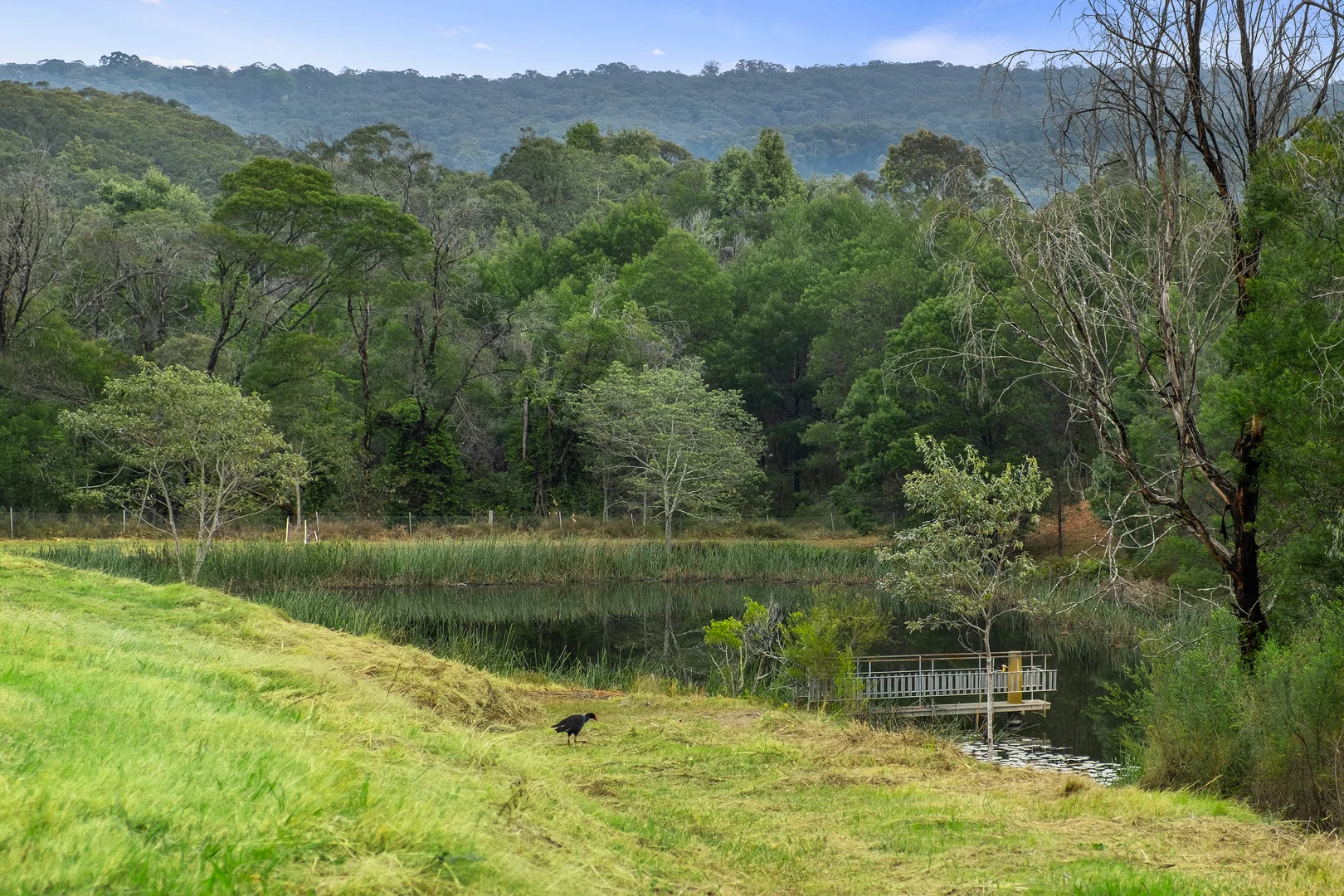 Additional image 15 of 66 Baileys Lane, Kurrajong Hills NSW 2758