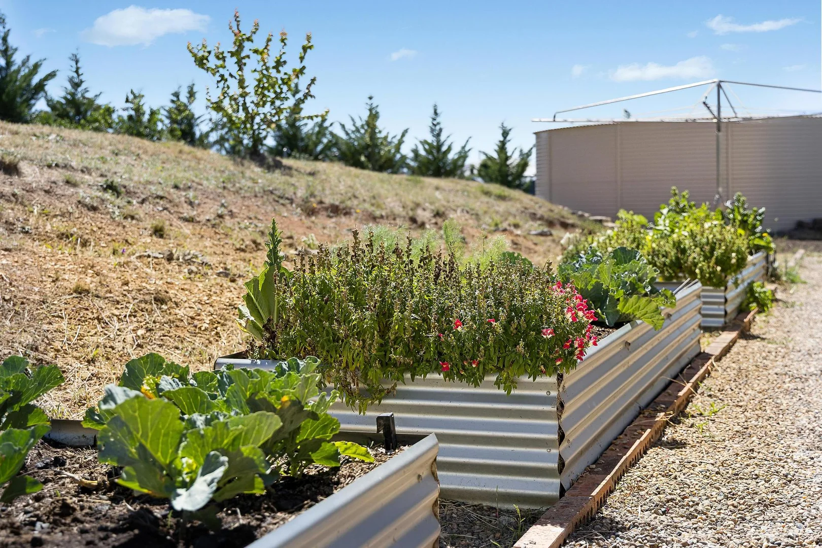 Additional image 25 of 1c Perry Street, Yass NSW 2582