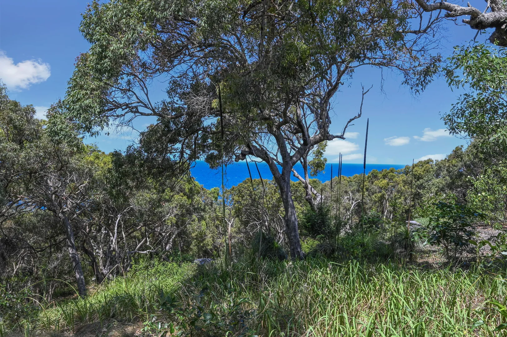 Additional image 19 of 41 Grevillia Court, Agnes Water QLD 4677