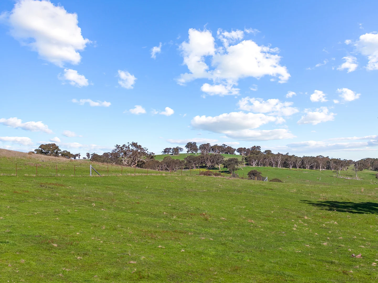 Additional image 17 of 1432 Lachlan Valley Way, Laverstock NSW 2582