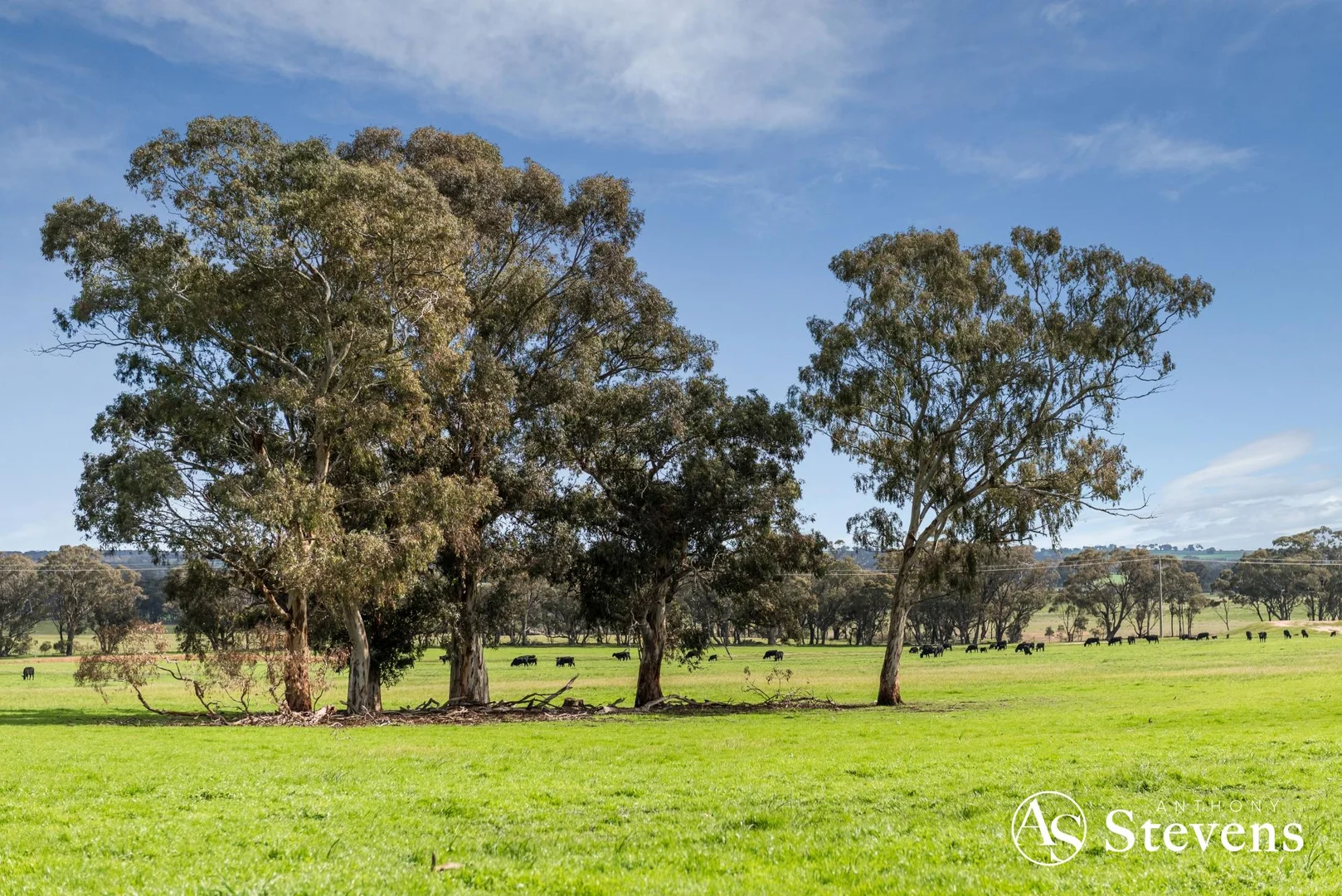 Additional image 13 of 499 Old Wedderburn Road, Slaty Creek VIC 3477