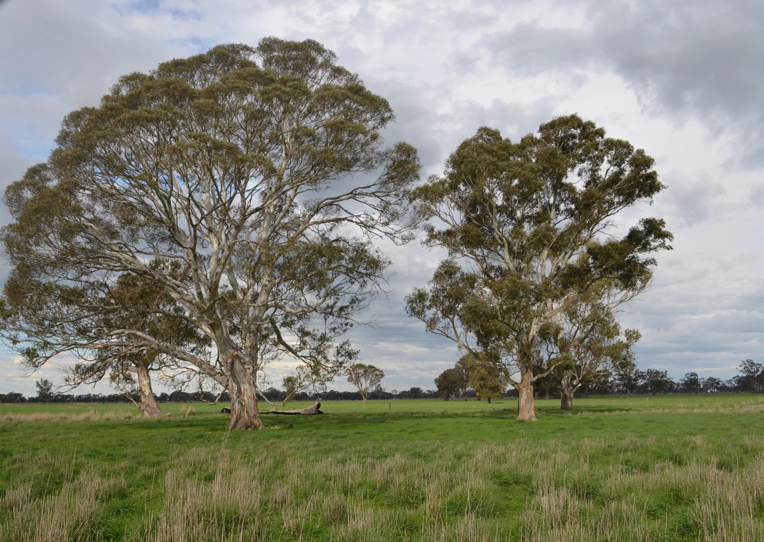 Additional image 10 of Sec 329 Tarcas Road, Frances SA 5262