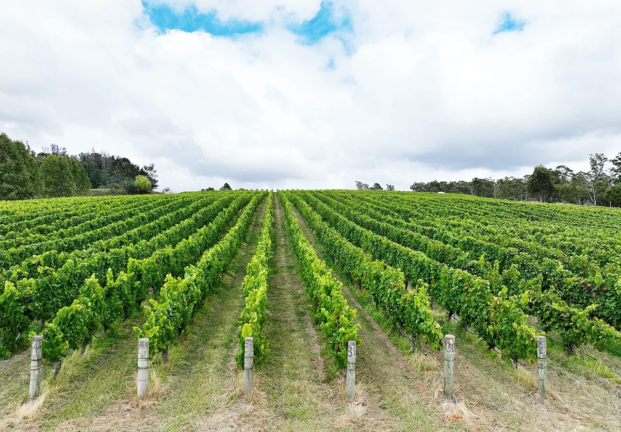 Additional image 9 of 103 Glendale Road, Sidmouth TAS 7270