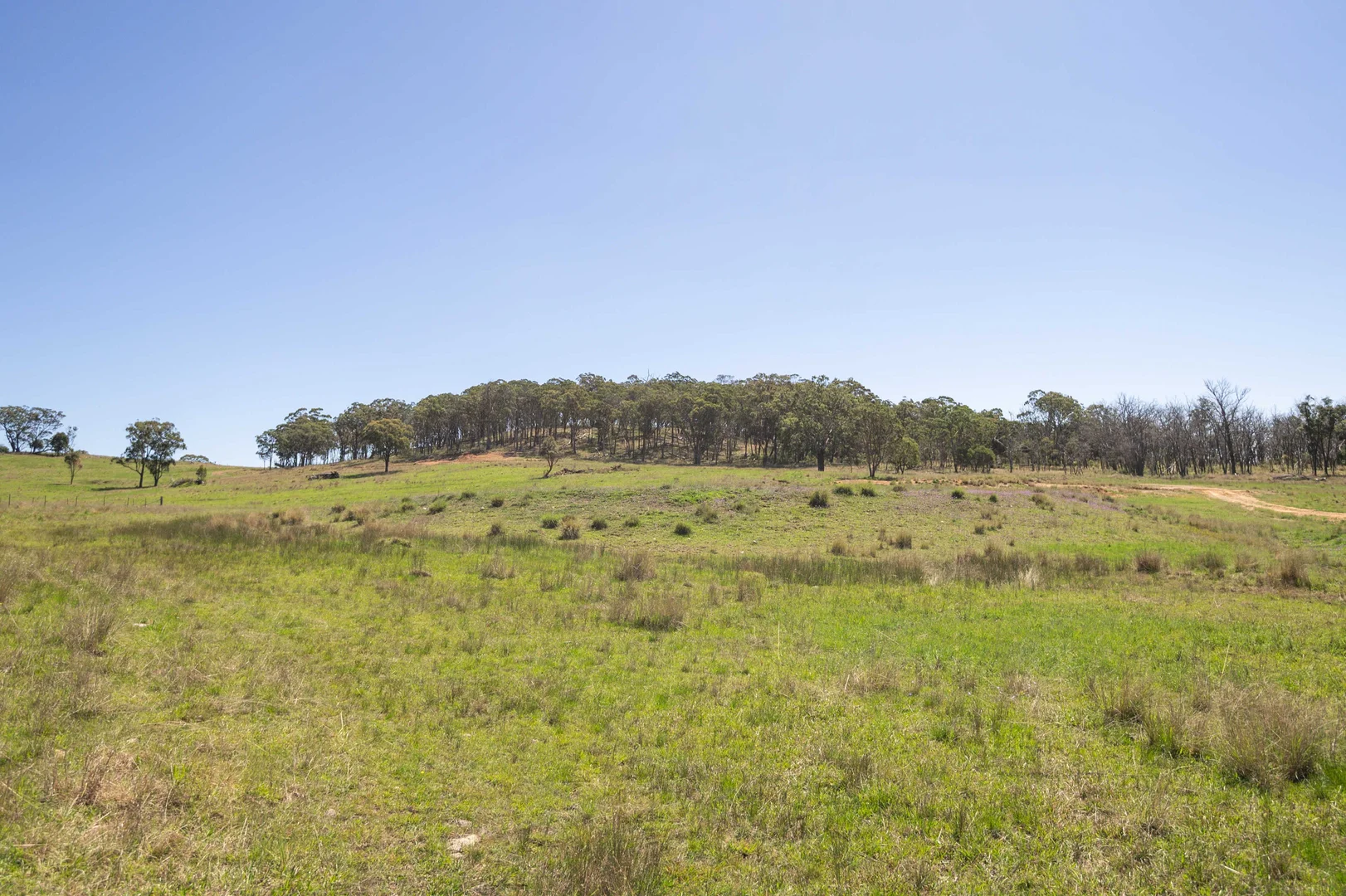 Additional image 5 of 4 Brown Road, Dalveen QLD 4374