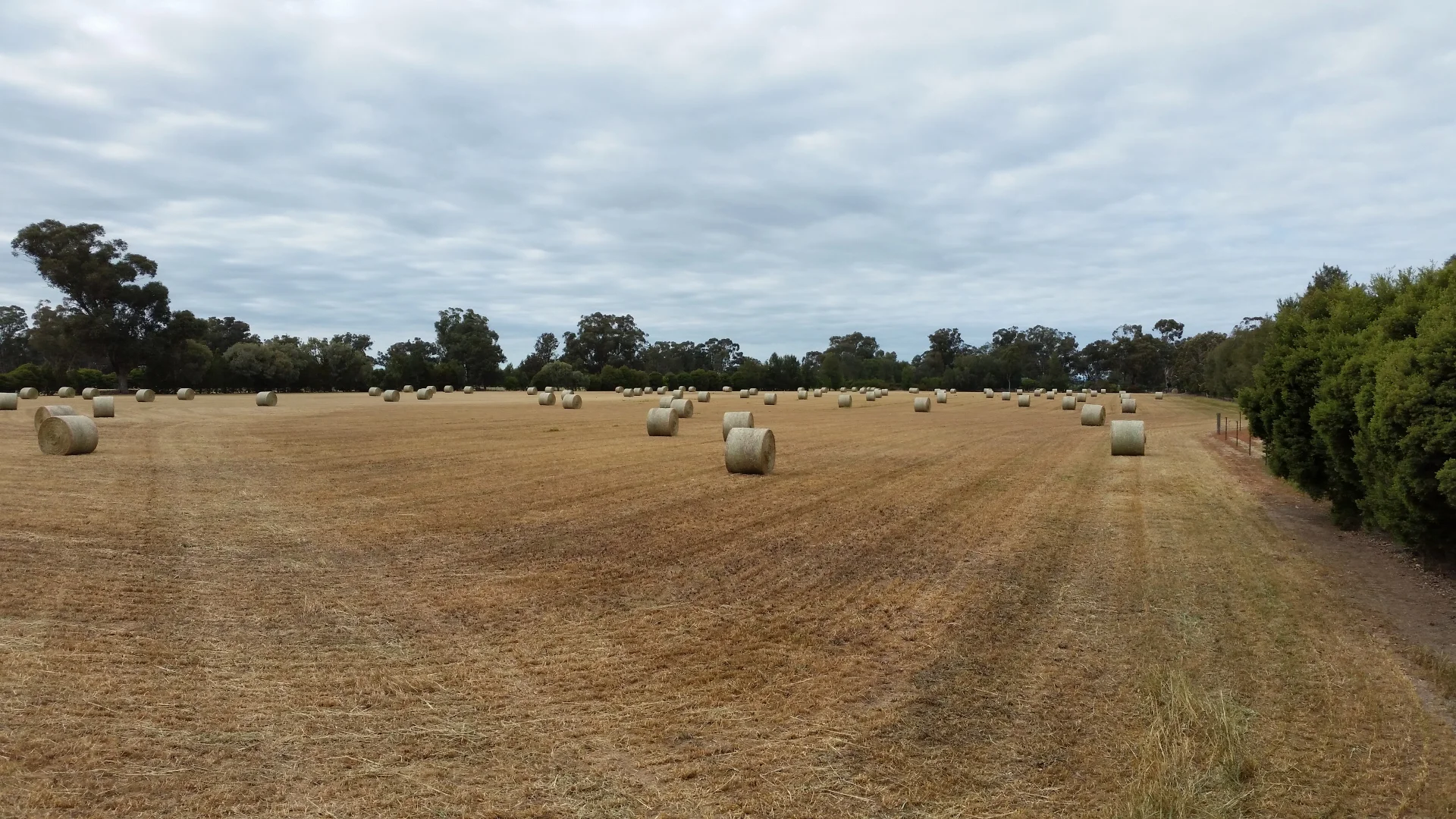 Additional image 4 of 140 Waggarandall Road, Yundool VIC 3727