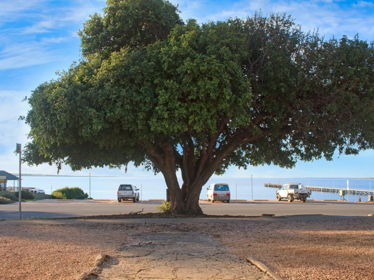 Additional image 23 of 43 Alfred Terrace, Streaky Bay SA 5680