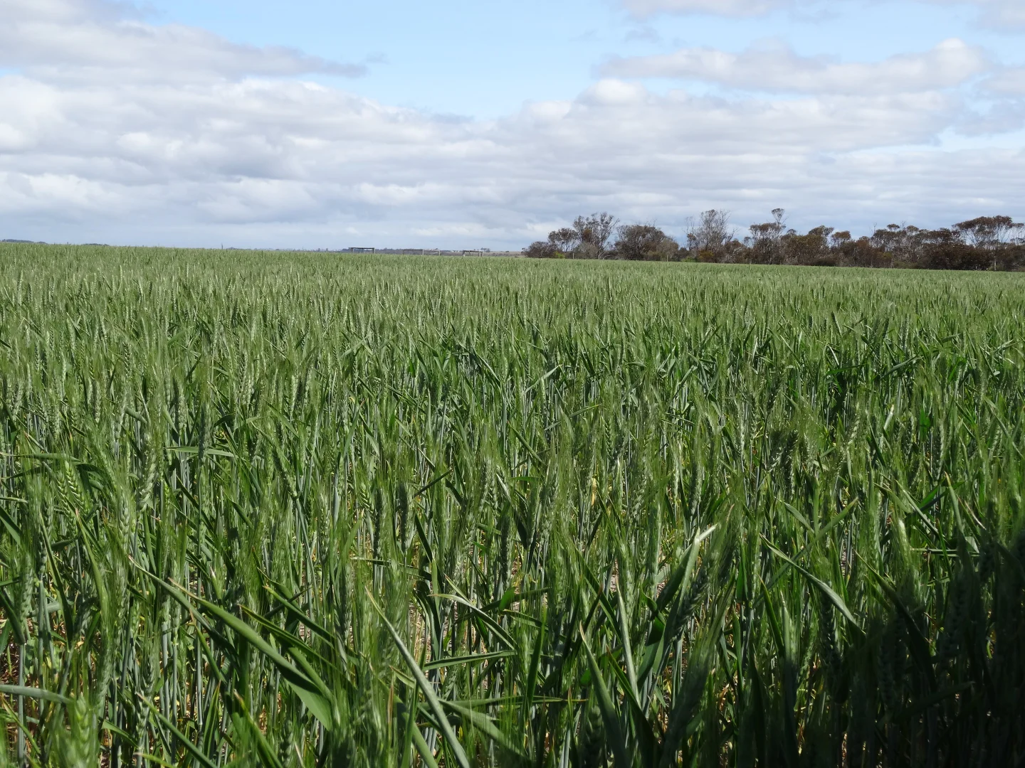 Additional image 34 of 31541 South Coast Highway, Jerramungup WA 6337