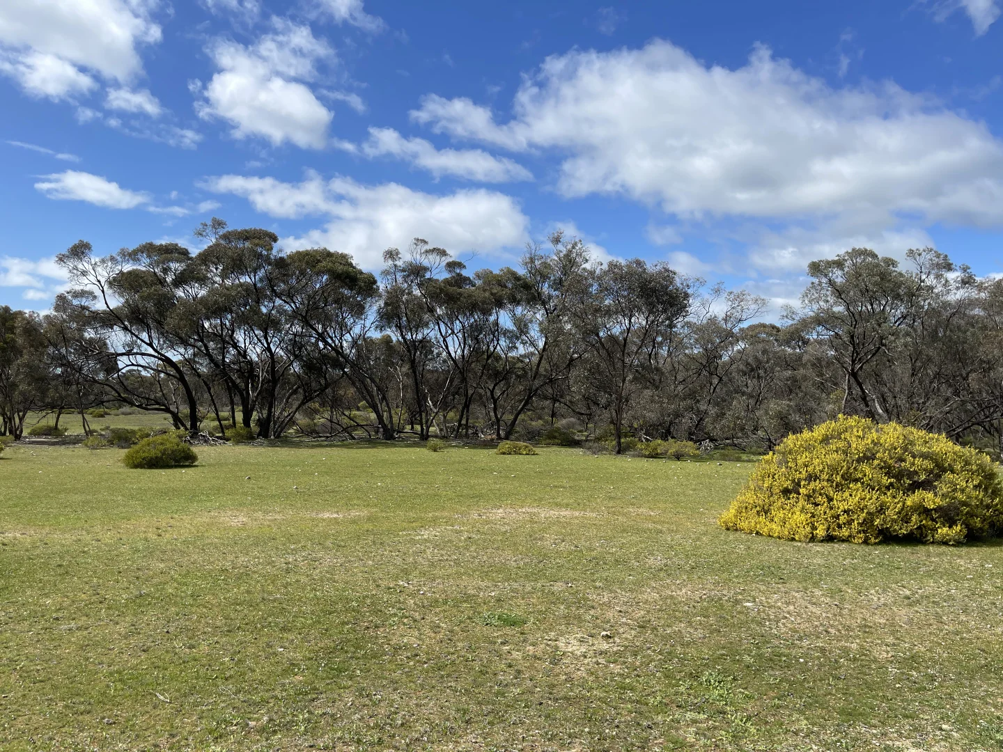 Additional image 8 of 6803 Calder Highway, Wedderburn VIC 3518