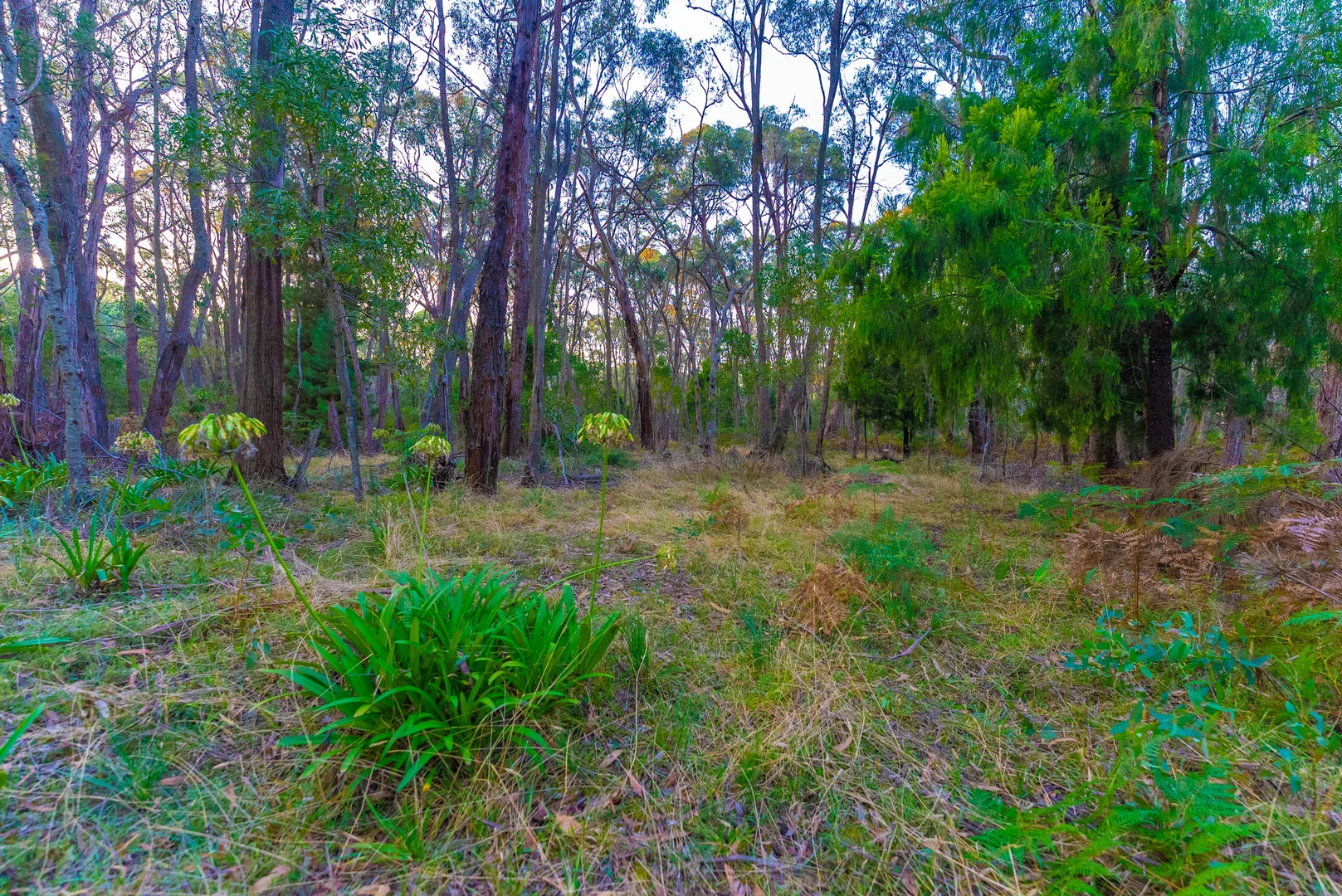 Additional image 12 of Lot 5 Howlett Road, Ross Creek VIC 3351