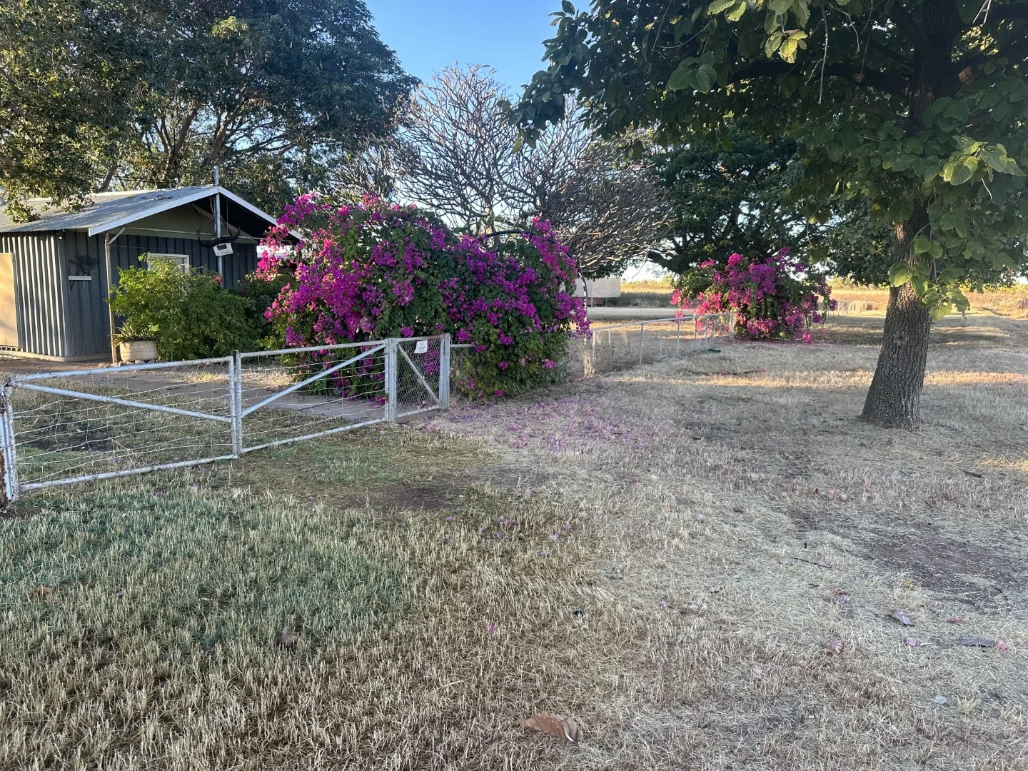 Additional image 24 of Benmara Station, Creswell NT 0852