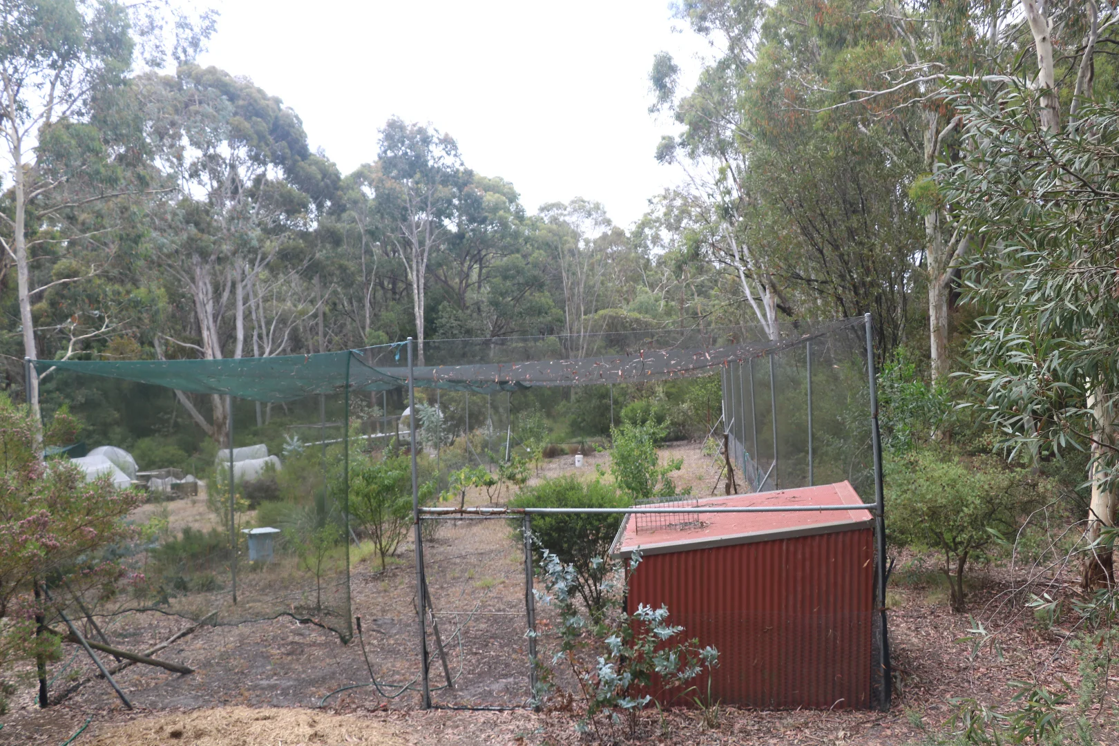 Additional image 28 of 65 Gardiners Road, Barongarook VIC 3249