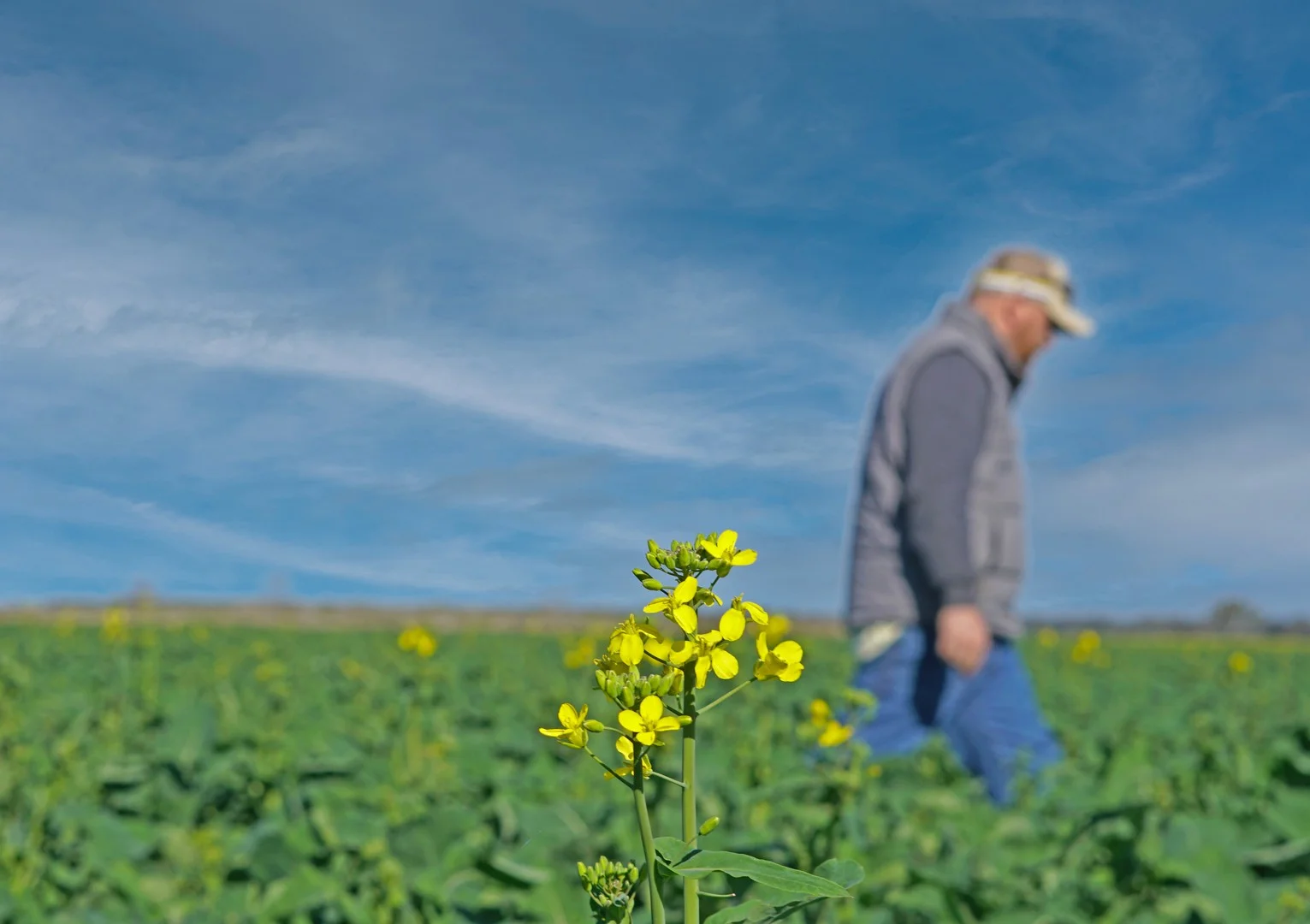 Additional image 19 of 'Williams Crossing' 139 Harris Lane, Quandialla NSW 2721