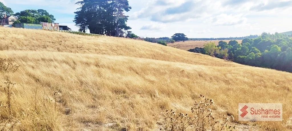 Additional image 7 of Lot 2 Storys Road, Lebrina TAS 7254