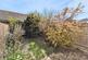 Additional image 15 of College Close, Minehead TA24