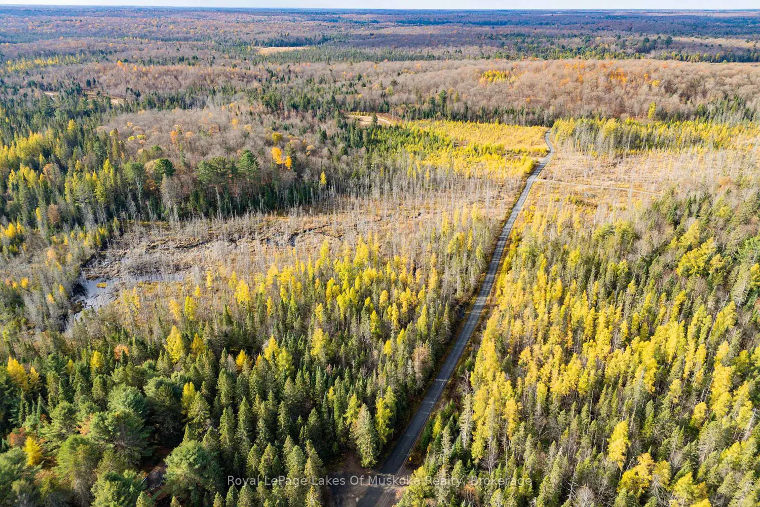 Additional image 7 of 267 & 321 Cardwell Lake Road