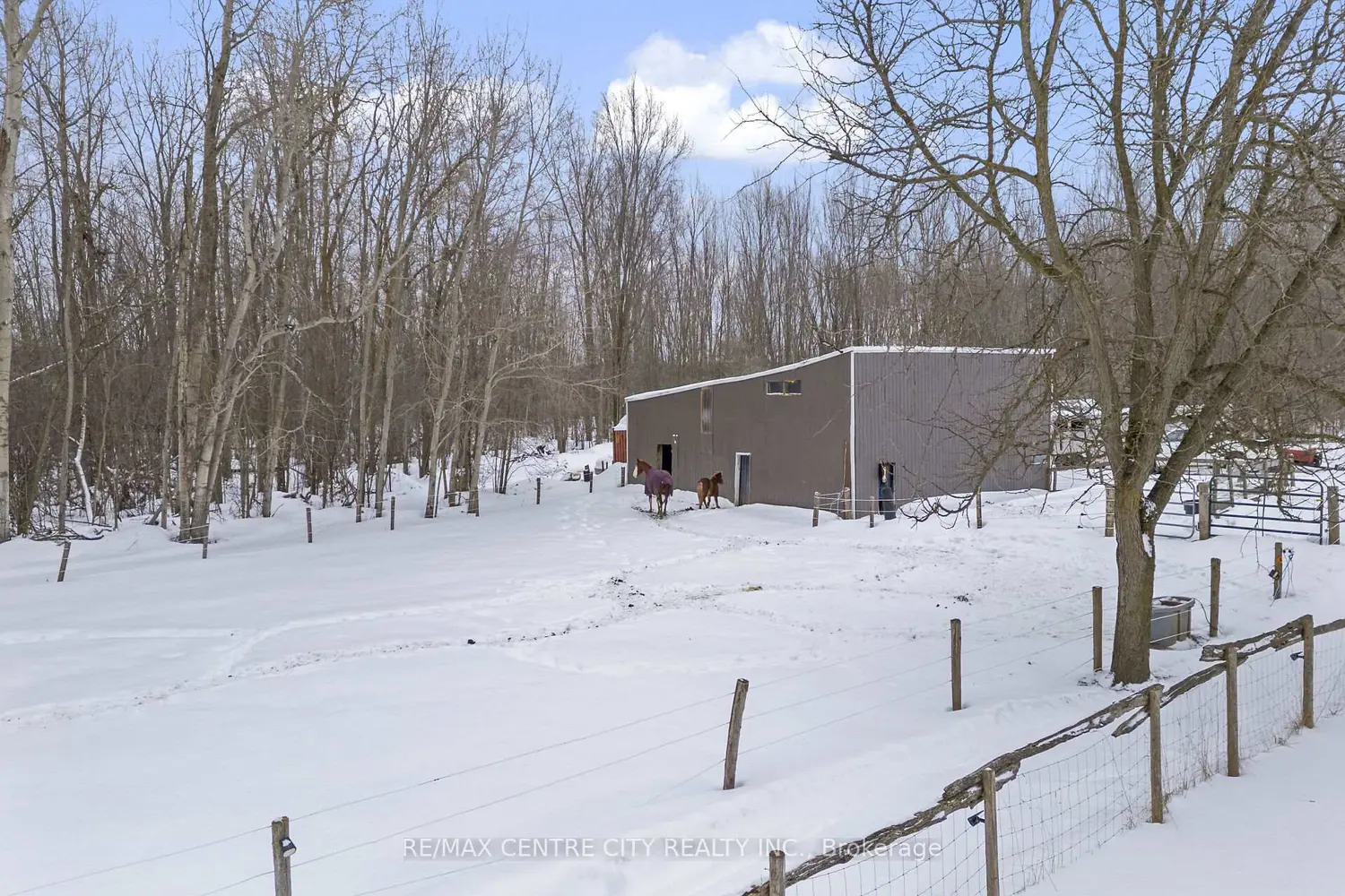 Additional image 18 of 89482 Belmore Line