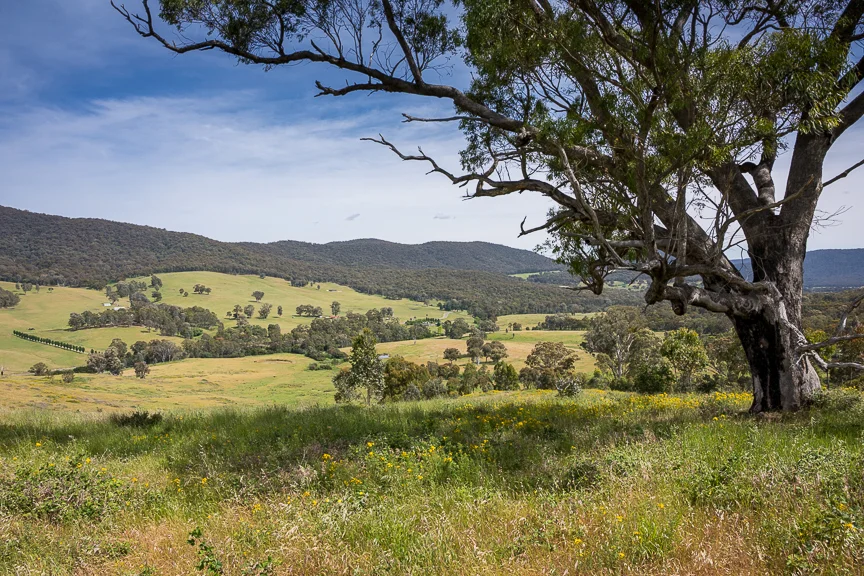 Additional image 6 of Lots 4 & 8 Tatong-Tolmie Rd, Tatong VIC 3673